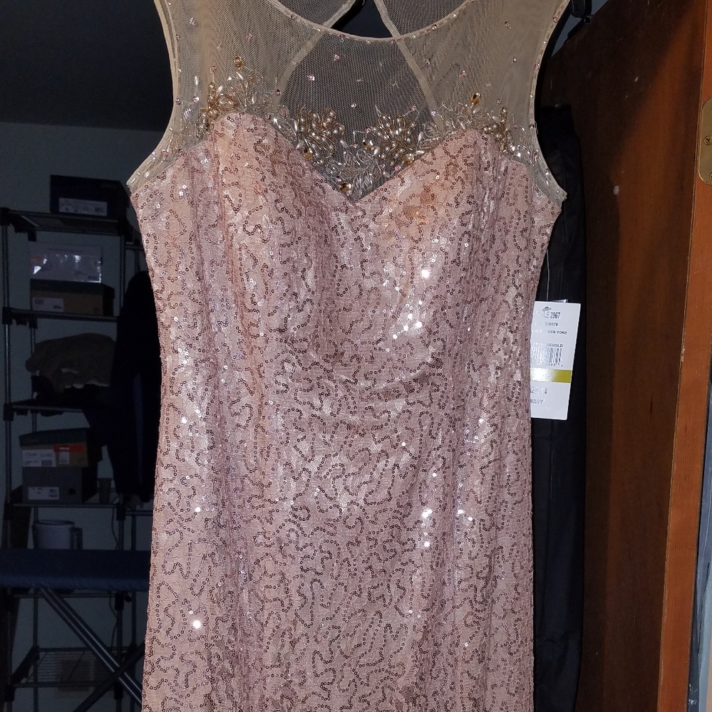 Gown Evening size 14 Blush in color